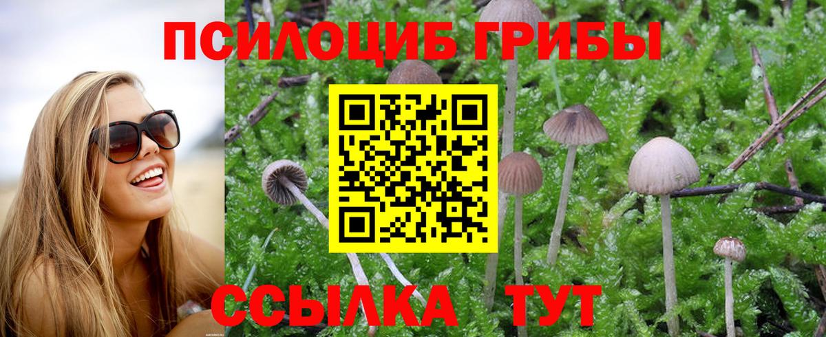 Псилоцибиновые грибы мухоморы  Вход с VPN  Татарск 
