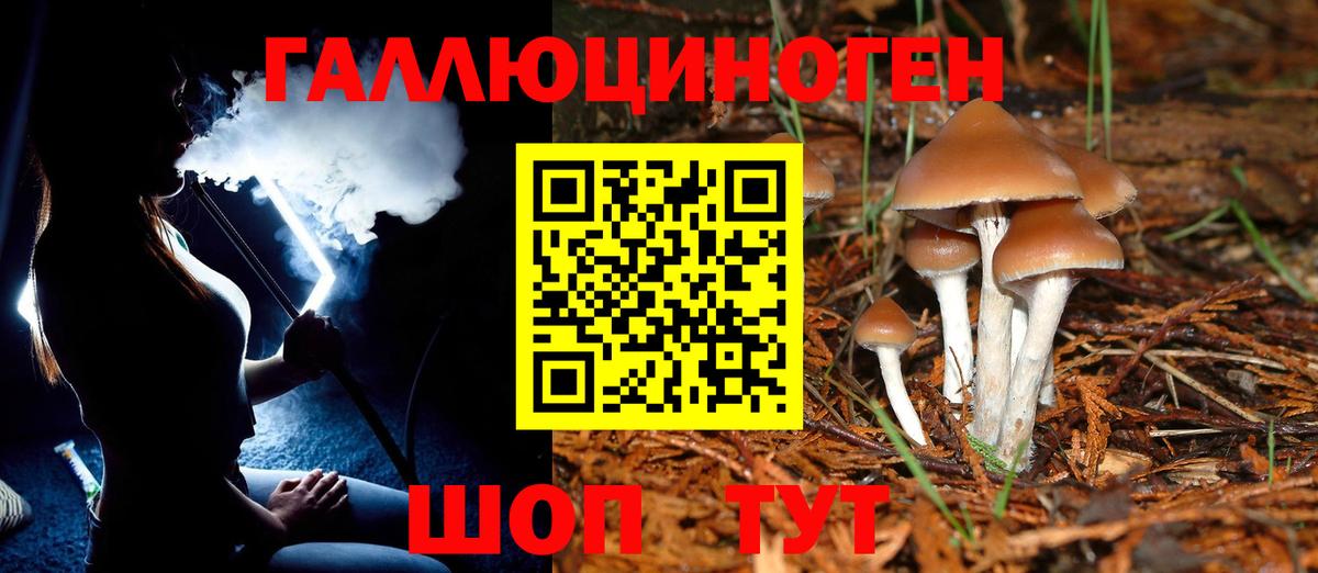 Галлюциногенные грибы Psilocybe Татарск